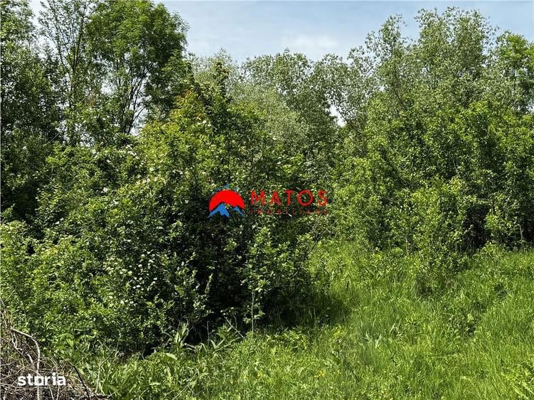 Teren intravilan 1.300 mp in Cornu de Jos, Prahova zona linistita, u - 4