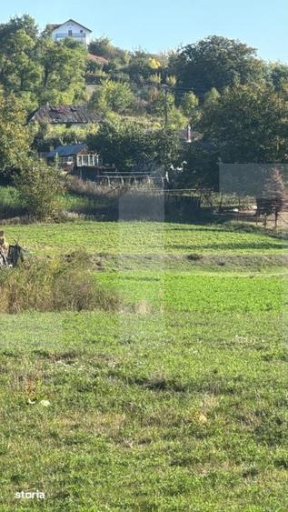 Teren intravilan 1.459 mp, Manolesti, Botosani, ideal pentru casa - 1