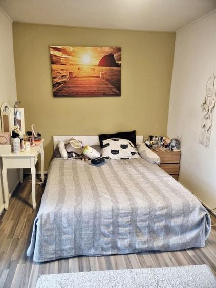 Calea Bucuresti, apartament 2 camere,mobilat,etaj1 - 9