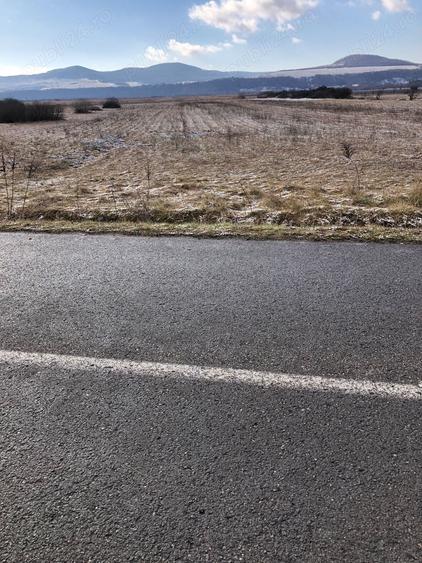 Teren de 3500 mp, în Chintelnic