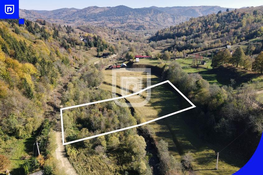 Teren Construcții extravilan de 5000 mp, în Vama