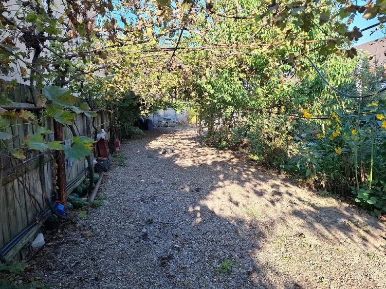 Teren de 1650 mp, în Vărsătura