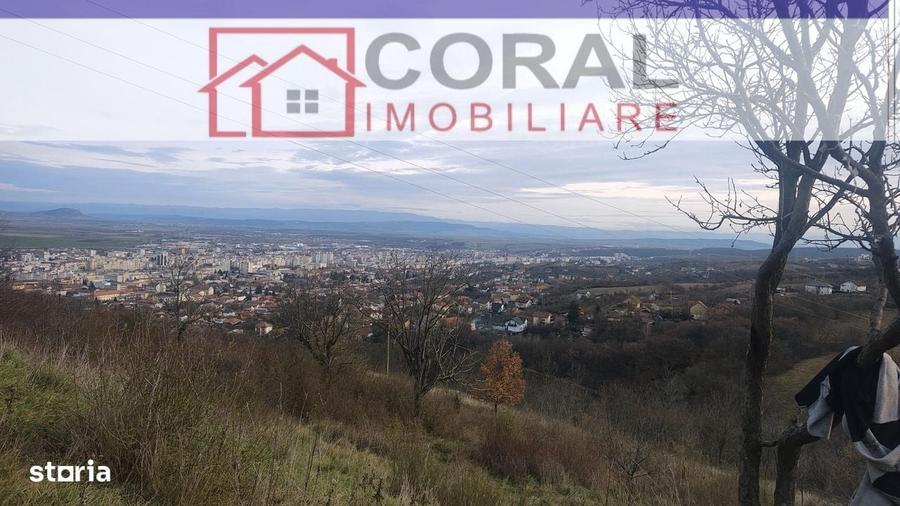 Spațiu comercial, în Decebal