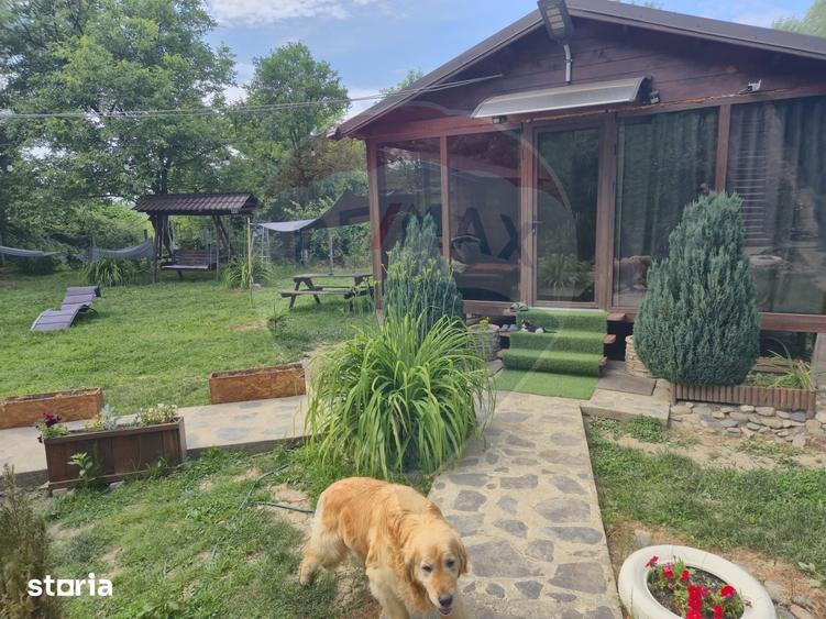Casă cu 3 camere cu Teren 1268 Mp în Săpânța
