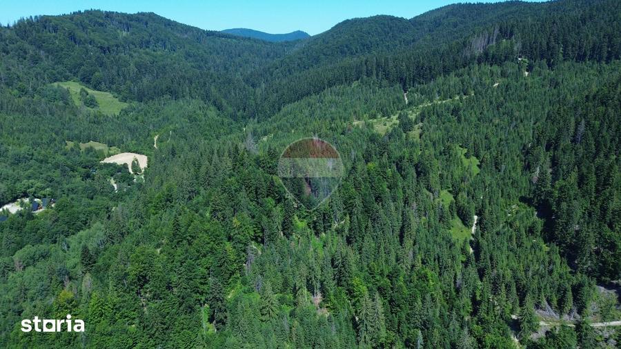 Teren de 120000 mp, în Sucevița
