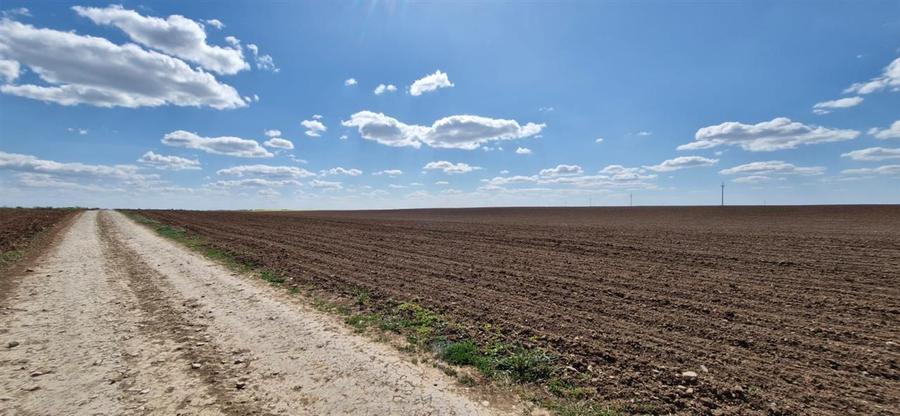 Teren intravilan de 13000 mp, în Periferie