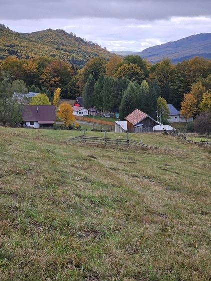 Teren de 3100 mp, în Trăisteni
