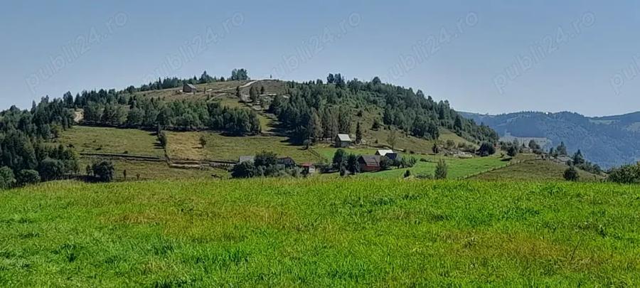 Teren în Măguri