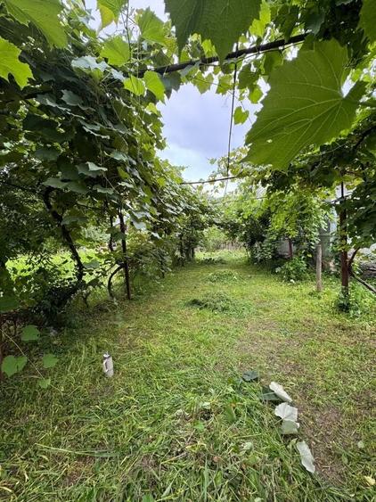 Casă cu 4 camere în Pocruia
