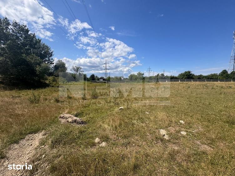 Teren Itcani | 31 Ari | Extravilan | Deschidere 11.5 MP | 93000 Euro - 3