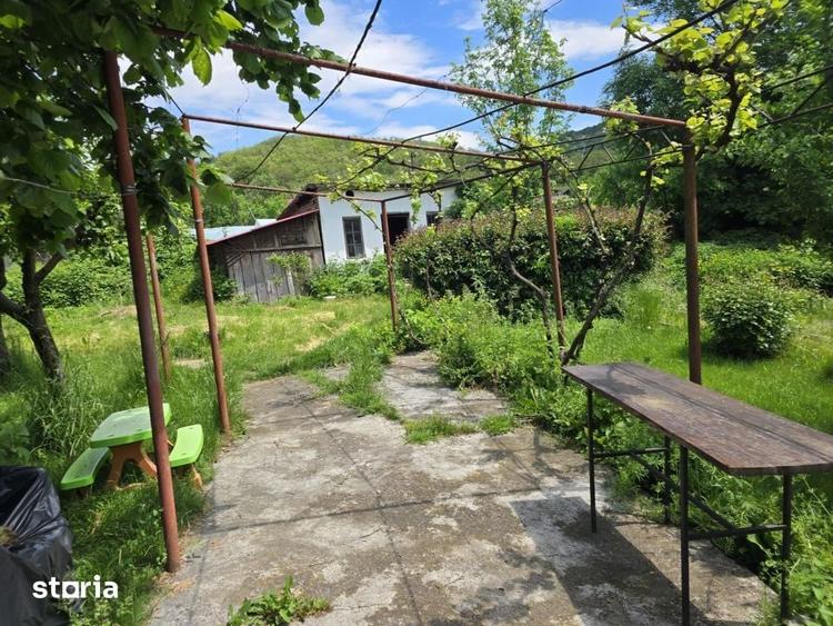 Casă cu 4 camere cu Teren 3450 Mp în Mușătești