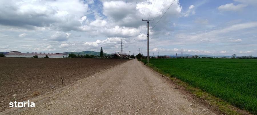 Teren de 13000 mp, în Hărman