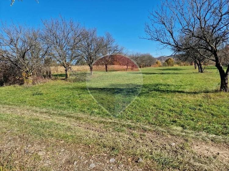 Teren Construcții intravilan de 10202 mp, în Copalnic-Mănăștur