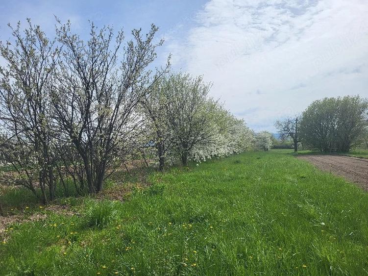 Casă cu Teren 2800 Mp în Central
