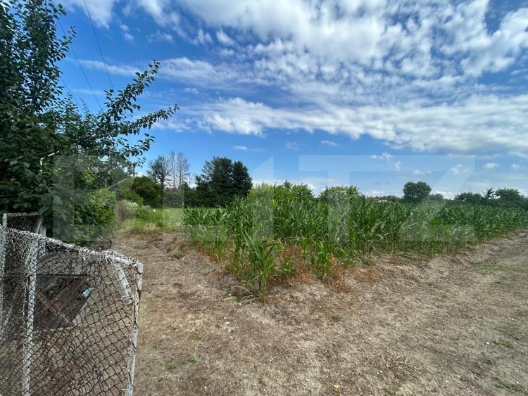 Teren Construcții intravilan de 6796 mp, în Crângurile de Jos
