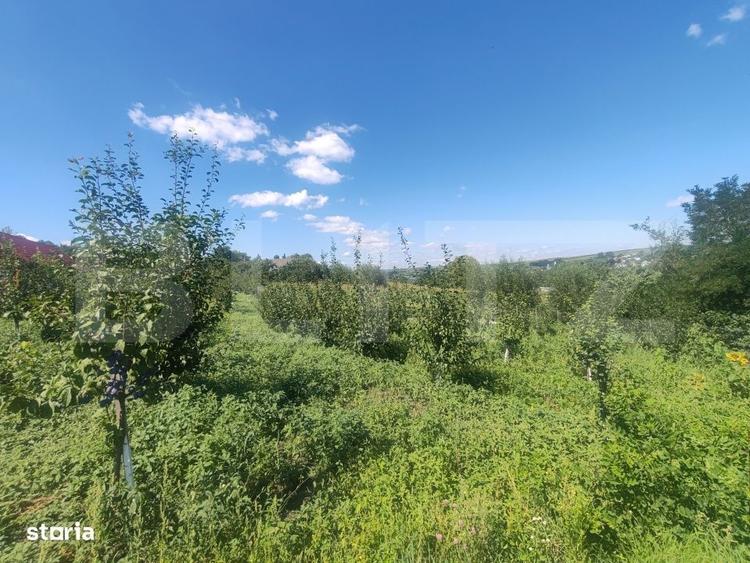 Casă cu 1 camere în Mihăiești