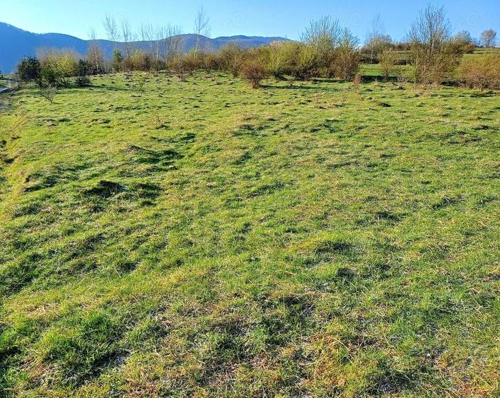 Teren de 500 mp, în Cisnădioara