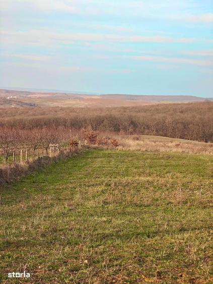 Teren de 3000 mp, în Nord