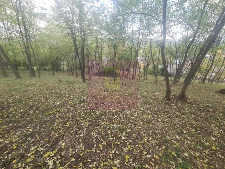 Casă cu 3 camere cu Teren 3410 Mp în Aluniș