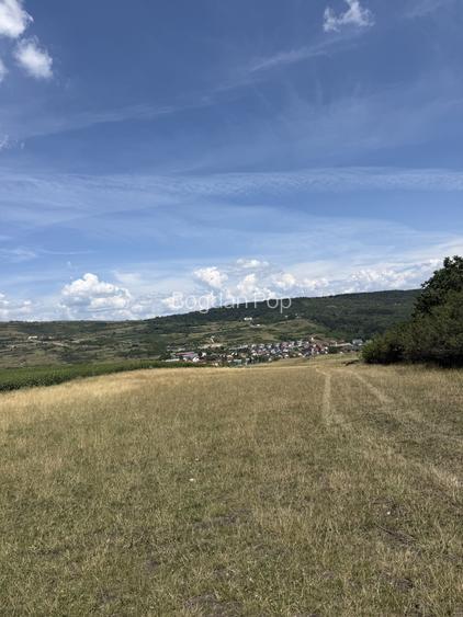 Comision 0!Teren 8660 mp toate utilitatile - Cluj Napoca - Cosminului!