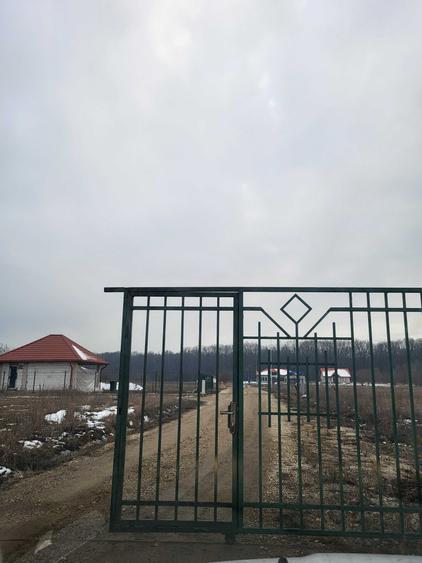 Vanzare direct proprietar teren 600 mp Scrovistea, Balteni, langa gara - 8