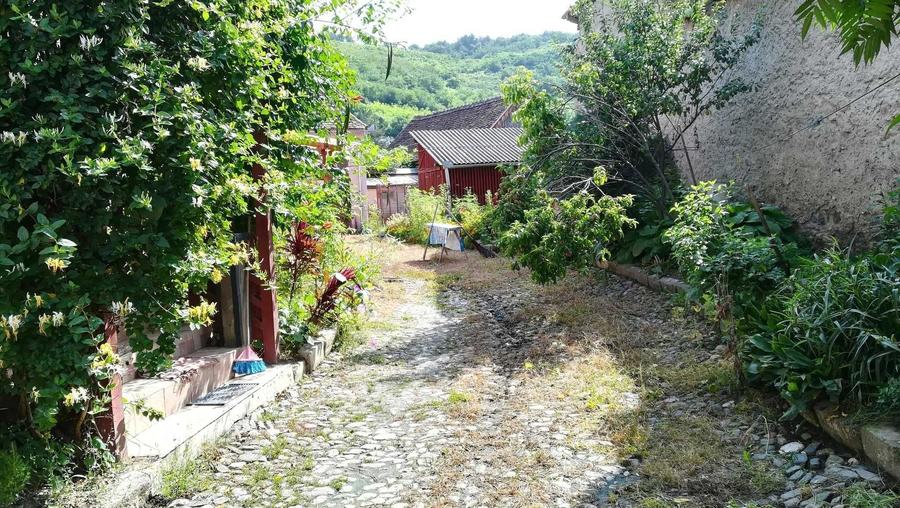 Casă cu 3 camere în Apoldu de Sus
