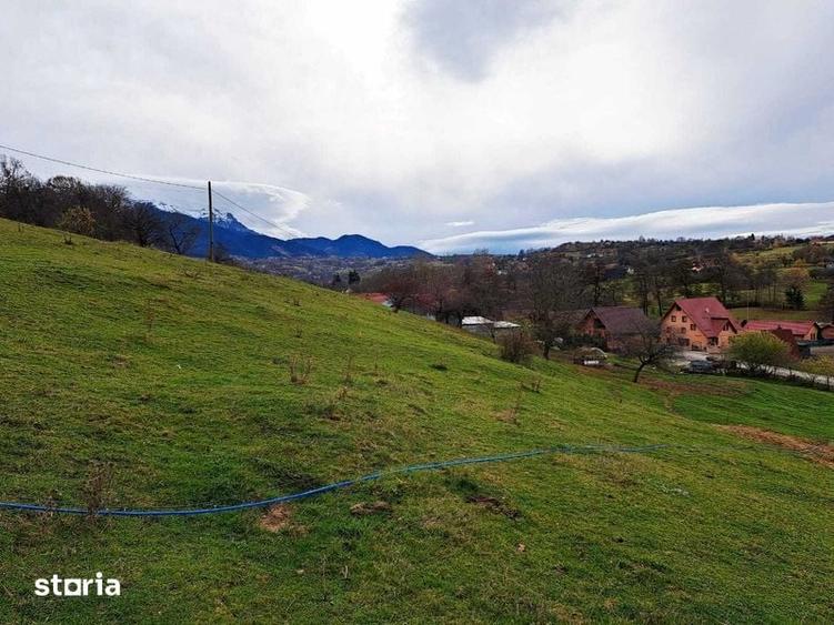 Teten intravilan Bran - Sohodol - 8