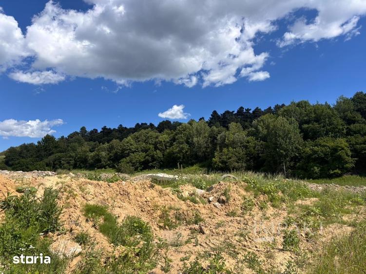 Teren de 1200 mp, în Feleacu