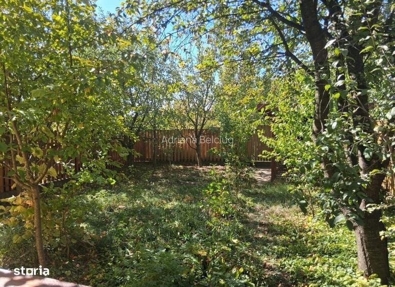 Casa 4 camere Popas Pacurari , 140 metri Cod:163414