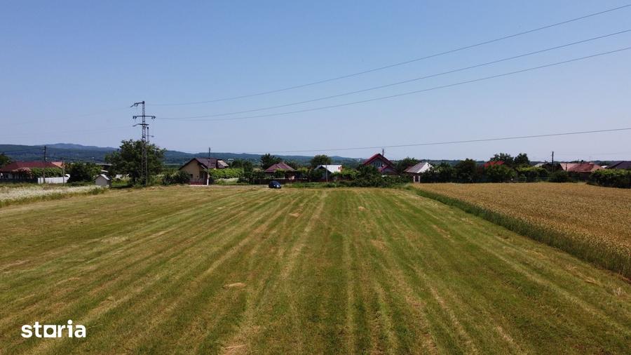 Teren de 5000 mp, în Măgureni