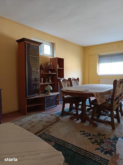 Vila P+E de vanzare in Valea lui Mihai 233 mp, teren 733 mp - 10