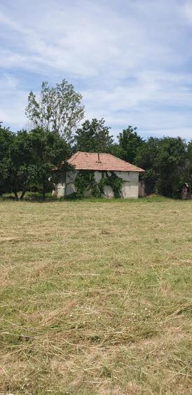 Casă cu 3 camere cu Teren 5513 Mp în Bratia din Deal