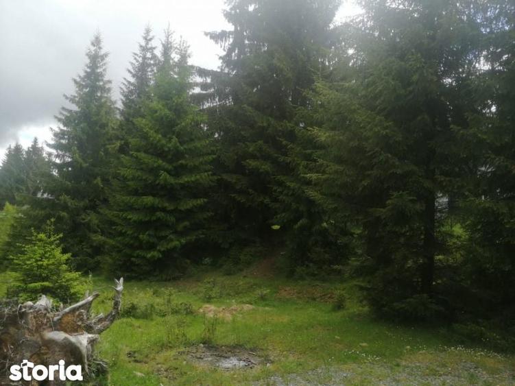 Teren de 1300 mp, în Beliș