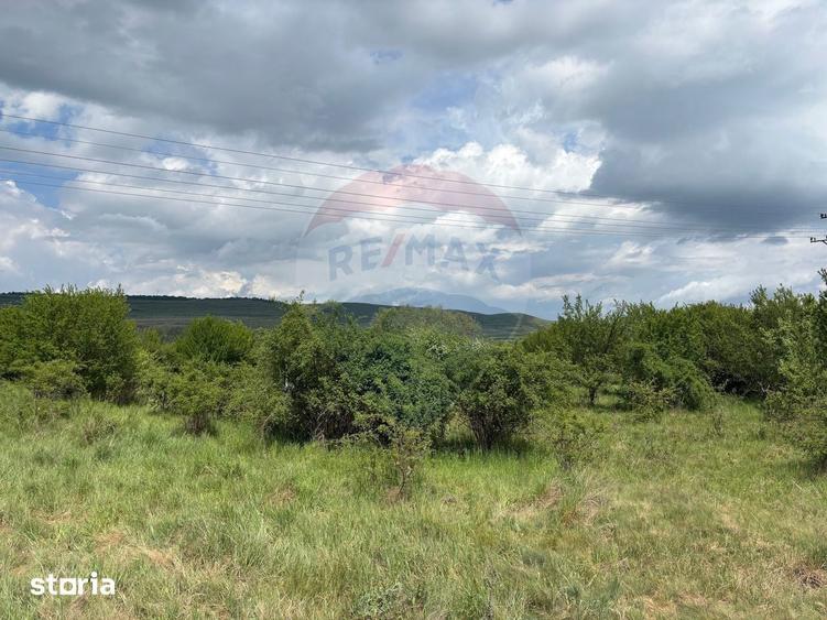 Teren de vanzare 13783mp, front la DN, parcela unica zona de vest - 9