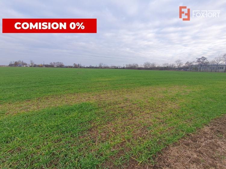 Teren agricol extravilan de 213257 mp, în Sud