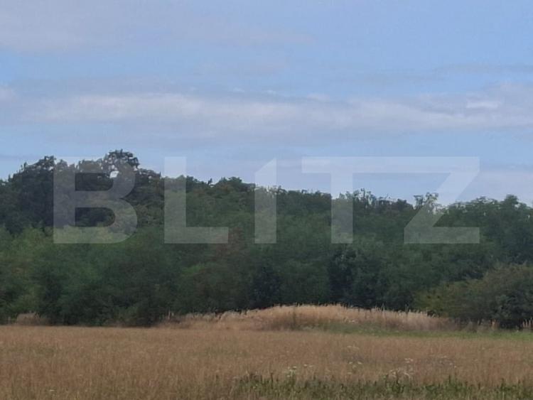 Teren extravilan de 7500 mp, în Șuța Seacă
