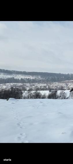 Teren de 24000 mp, în Albești