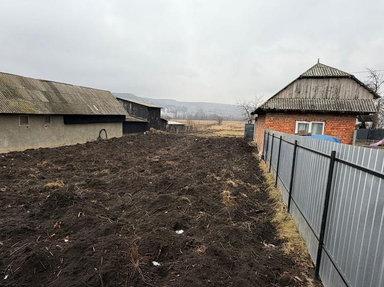 Teren de 3000 mp, în Petricani