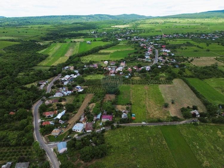 Teren Construcții intravilan de 4229 mp, în Blidari (Cârligele)