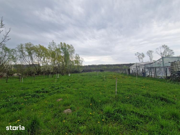 Teren de 1809 mp, în Moțăieni