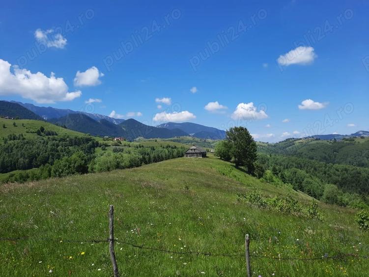 Teren de 40000 mp, în Șirnea