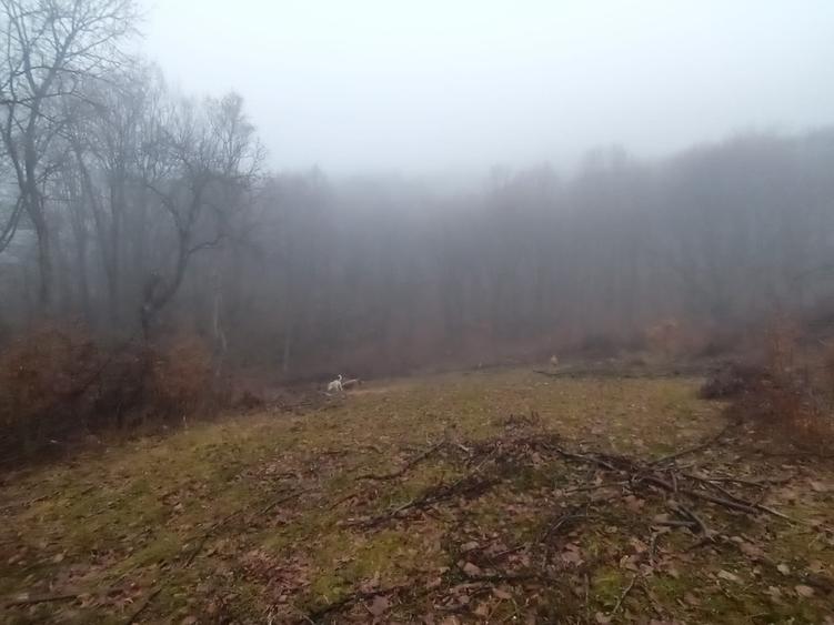 Teren intravilan de 3186 mp, în Certeju de Sus