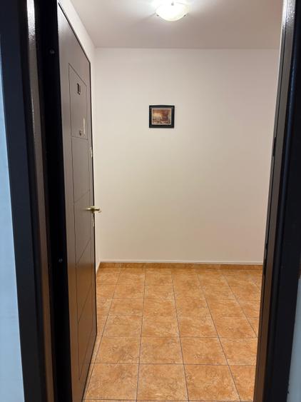 Apartament cu 2 camere decomandat în Palazu Mare