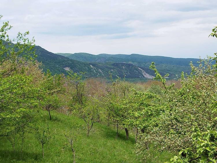 Casă cu 3 camere în Cislău
