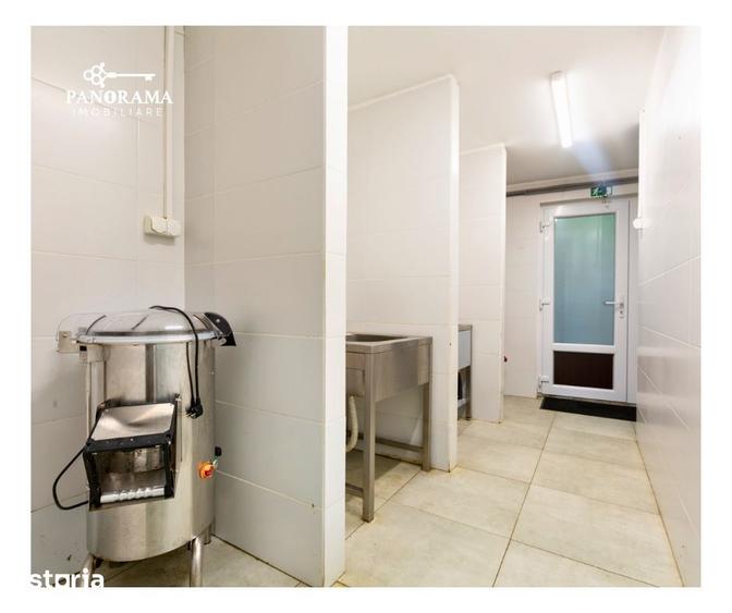 Casă cu Teren 29337 Mp în Râu Sadului