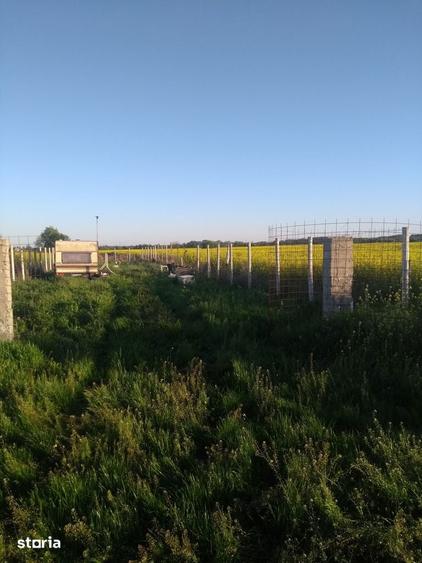 Teren intravilan 1244mp, acces pavat numar cadastral - 1
