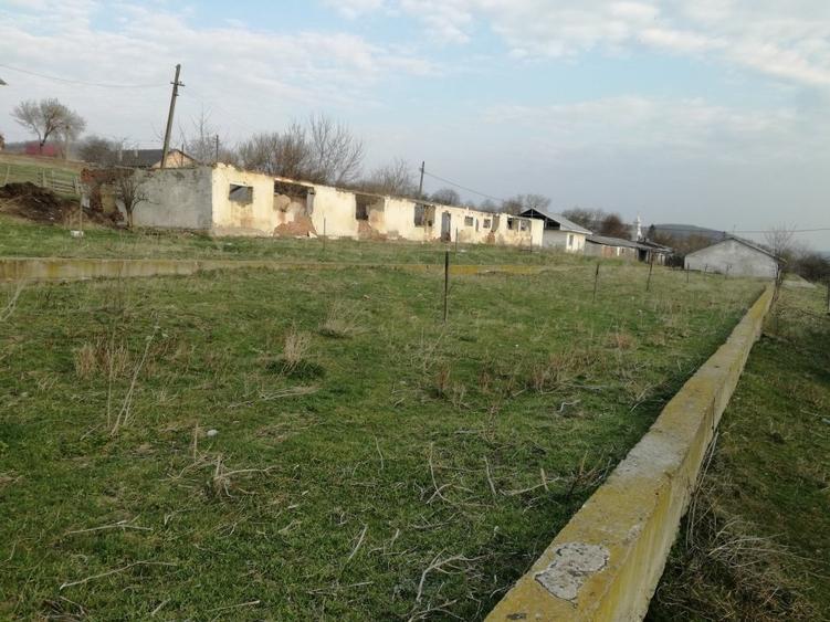 Spațiu comercial, de 16,400 mp, în Pâncești