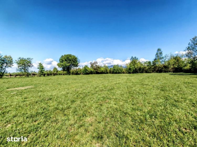 Teren de 5967 mp, în Glăjărie