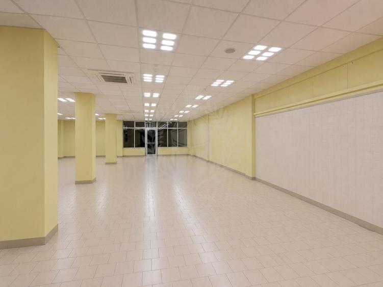 Spațiu comercial, de 492 mp, în Democrației