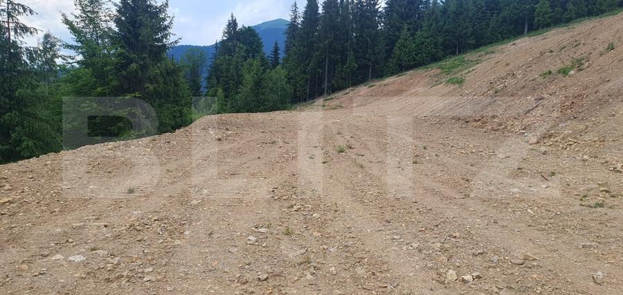 Teren Construcții extravilan de 19492 mp, în Vatra Dornei